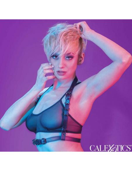 CALEXOTICS - EUPHORIA ARNÉS HATLER CON HEBILLA NEGRO