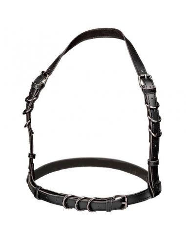 CALEXOTICS - EUPHORIA ARNÉS HATLER CON HEBILLA TALLA GRANDE NEGRO