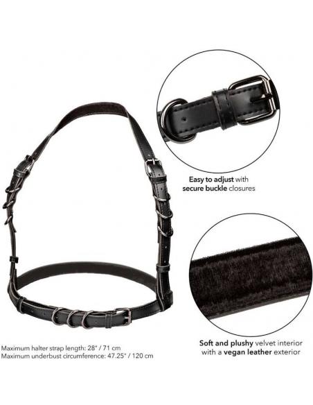 CALEXOTICS - EUPHORIA ARNÉS HATLER CON HEBILLA TALLA GRANDE NEGRO