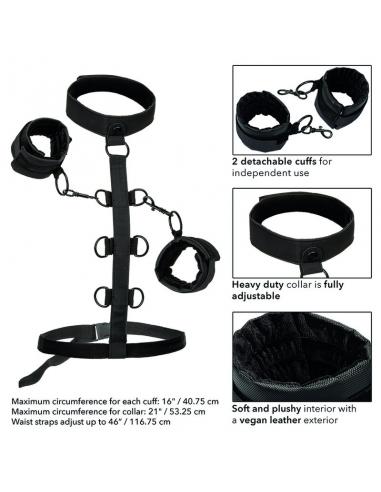 CALEXOTICS - BOUNDLESS SUJECCIÓN DEL CUERPO Y EL CUELLO
