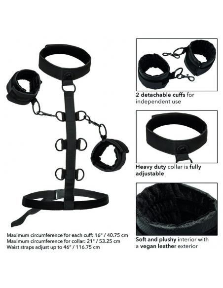 CALEXOTICS - BOUNDLESS SUJECCIÓN DEL CUERPO Y EL CUELLO