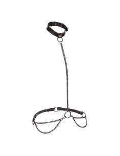 Calexotics - euphoria collar halter y correa con cadena talla plus