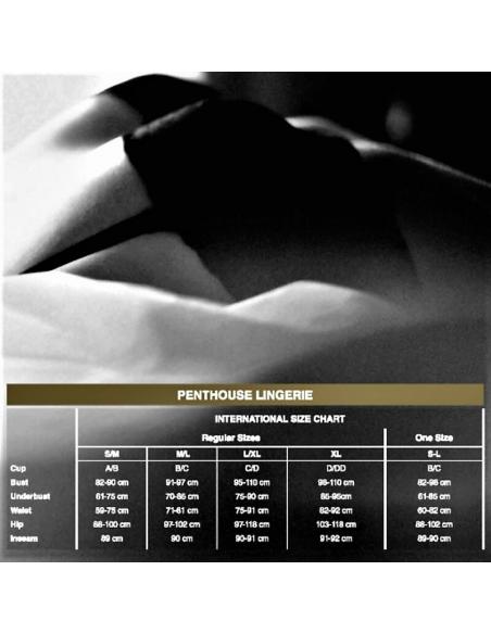 Penthouse - adore me panties  l/xl