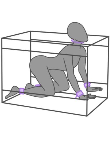 Secret dome - kink club la niche cabina morado