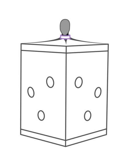Secret dome - kink club cabina scandale morado