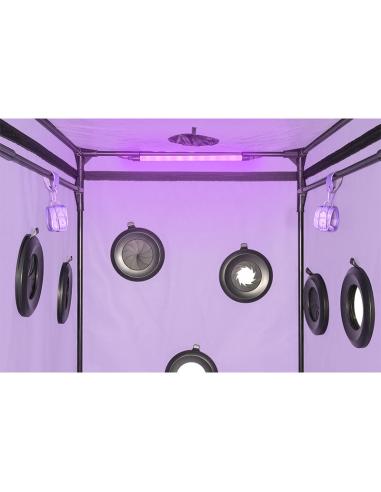 Secret dome - kink club cabina scandale morado