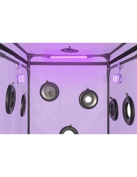 Secret dome - kink club cabina scandale morado