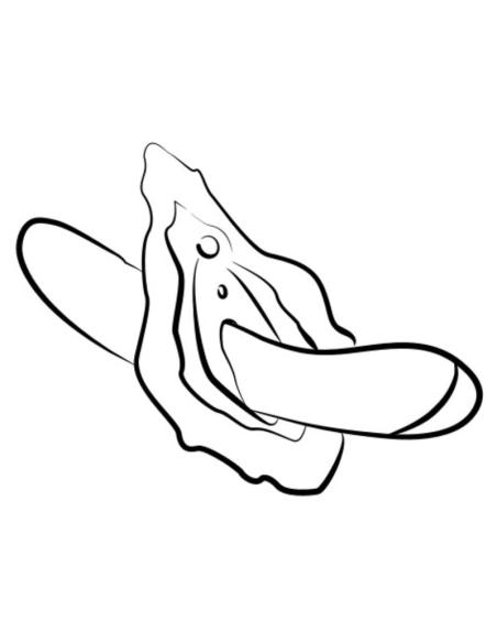 Romp - hype vibrador punto g multifunción rojo