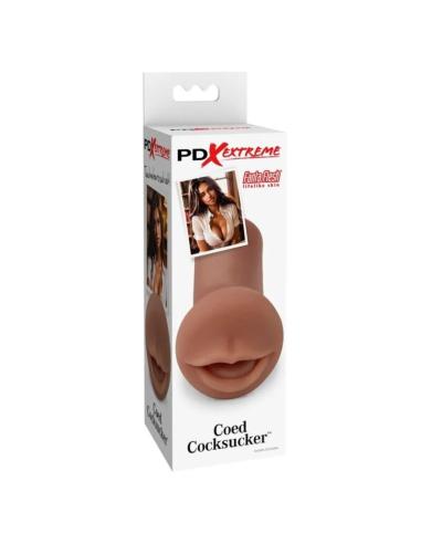 Pdx extreme - masturbador coed cocksucker